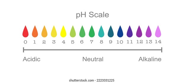 pH scale fluid drop acidic neutral and alkaline science education chemistry illustration 