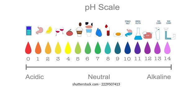 pH scale fluid drop acidic neutral and alkaline science education chemistry illustration	