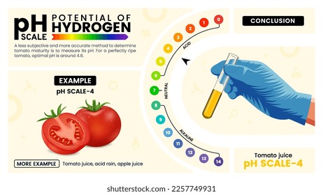 Escala pH cuatro propiedades, cálculo y ejemplos - Ilustración vectorial