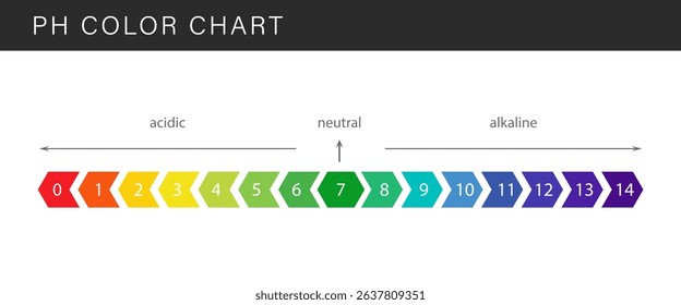 PH Scale. Gauge for acid and alkaline balance. Scale indicator for litmus paper test. Flat Vector illustration.