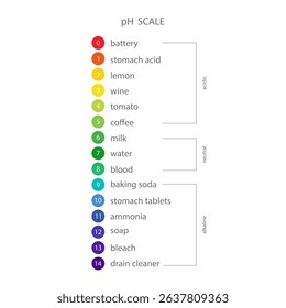 PH Scale. Gauge for acid and alkaline balance. Scale indicator for litmus paper test. Flat Vector illustration.
