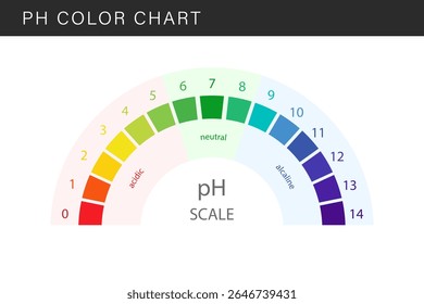PH Scale. Gauge for acid and alkaline balance. Scale indicator for litmus paper test. Flat Vector illustration.