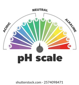 PH Scale Gaugem, vector graphic.