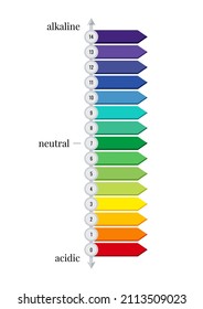 Escala de pH medidor gráfico horizontal para soluciones ácido y base aisladas en fondo blanco.  Tiras de ensayo de papel en placa - valor del pH indicador del equilibrio de ácidos y alcalinos. Ilustración vectorial plana.