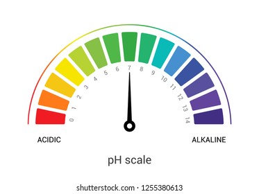 pH scale indicator chart diagram acidic alkaline measure. pH analysis vector chemical scale value test.