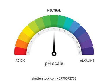 PH Scale Indicator Chart Diagram Acidic Alkaline Measure. PH Analysis Vector Chemical Scale Value Test