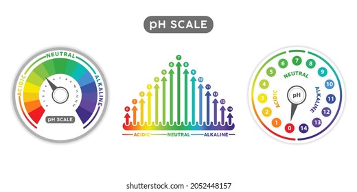 pH Scale Indicator Chart Diagram. pH analysis vector chemical scale value test. Acidic alkaline measure