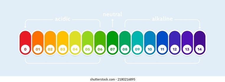 pH scale indicator chart diagram. Acidic and alkaline measure analysis. Concept of healthy eating.Vector illustration.