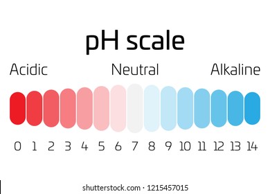 pH scale. Indicator of pH value expressing rate of acidity or basicity in chemistry.