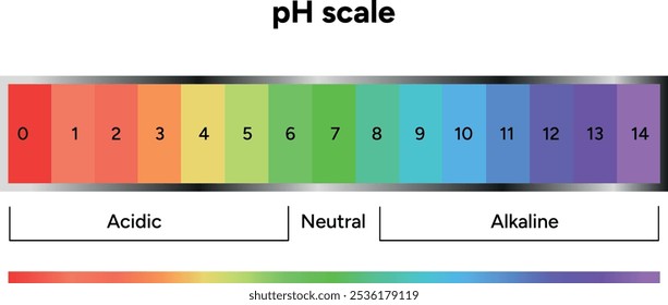 Escala de Ph do ácido infográfico e diagrama alcalino