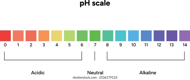 Escala de Ph do ácido infográfico e diagrama alcalino