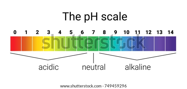 ph-scale-infographic-acidbase-balance-scale-749459296