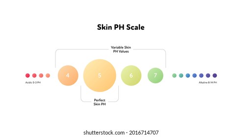 Infografía de escala de Ph. Ilustración vectorial de asistencia sanitaria plana. Medidor ácido-alcalino con foco en el ph perfecto de la piel. Cuidado de la piel. Diseño para farmacia, atención de salud, cosmetología