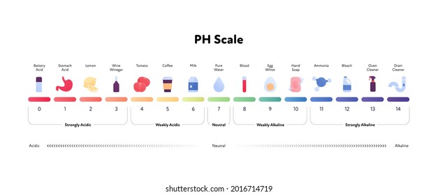 Ph scale infographic. Vector flat healthcare illustration. Color meter with number, text and sample item color icon from acidic to alkaline. Design for pharmacy, health care, cosmetology