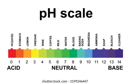 Ph Scale Isolated On White Background Stock Vector (Royalty Free ...