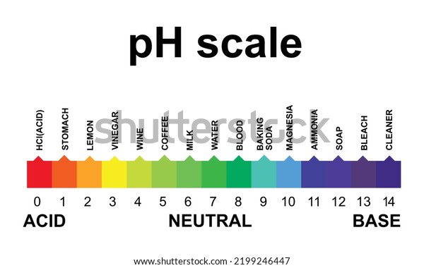 Ph Scale Isolated On White Background Stock Vector (Royalty Free ...