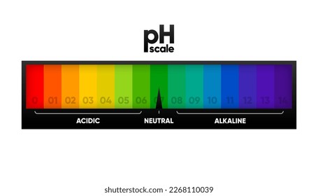 PH scale meter for acidic and alkaline solutions. Acid-base balance scale. Chemical test. Vector illustration.