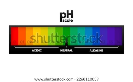 PH scale meter for acidic and alkaline solutions. Acid-base balance scale. Chemical test. Vector illustration.