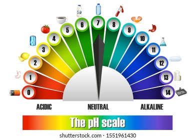 Ph Scale On White Background Illustration Stock Vector (Royalty Free ...