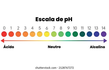 pH scale in portuguese: acidic, neutral and alkaline.