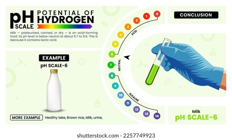 pH scale Six properties, calculation and examples - Vector illustration