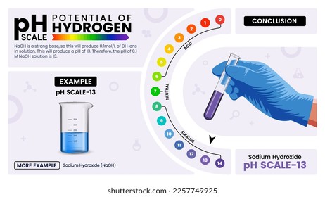 Escala pH trece propiedades, cálculo y ejemplos - Ilustración vectorial