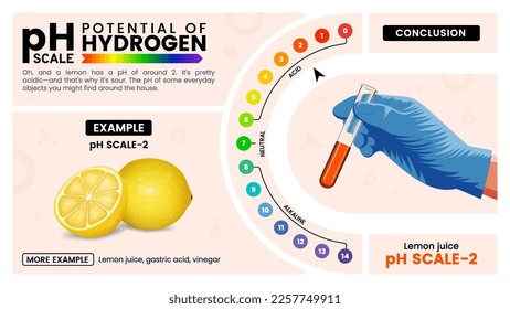 pH scale two properties, calculation and examples - Vector illustration