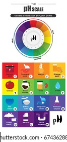 The pH scale Universal Indicator pH Color Chart diagram acidic alkaline values common substances vector illustration flat icon design Colorful 