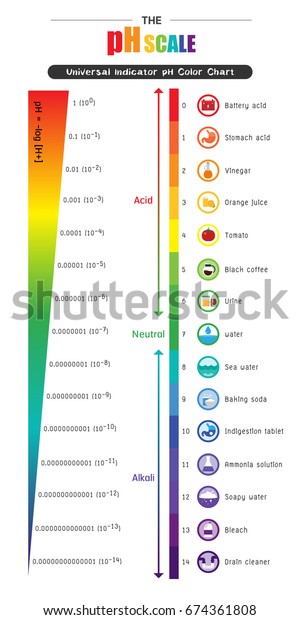 Ph Scale Universal Indicator Ph Color Stock Vector (Royalty Free) 674361808