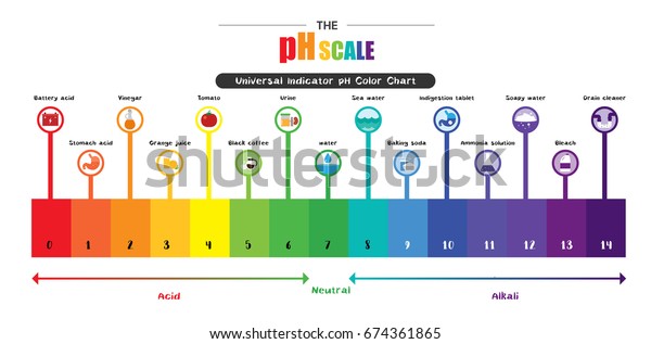 The pH scale Universal Indicator pH Color Chart\
diagram acidic alkaline values common substances vector\
illustration flat icon design Colorful\
