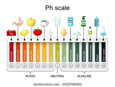 Escala de pH. Indicador universal pH. Monitorizar el pH de los niveles alcalinos y ácidos. Gráfico de colores de papel de litio. ilustración vectorial