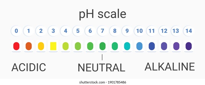 ph scale value. infographic acid-base balance. scale for chemical analysis acid base. vector illustration. colorful graph for test on white background