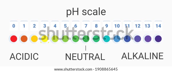 ph scale value. infographic acid-base\
balance. scale for chemical analysis acid base. vector\
illustration. colorful graph for test on white\
background