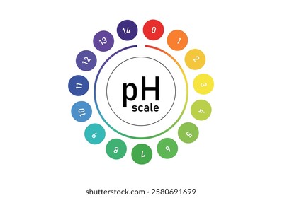 pH Scale Vector. Color Chart for Laboratory and Food Testing