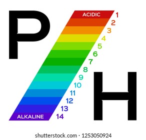 Ph Scale Vector Graphic Acid Base Stock Vector (Royalty Free ...