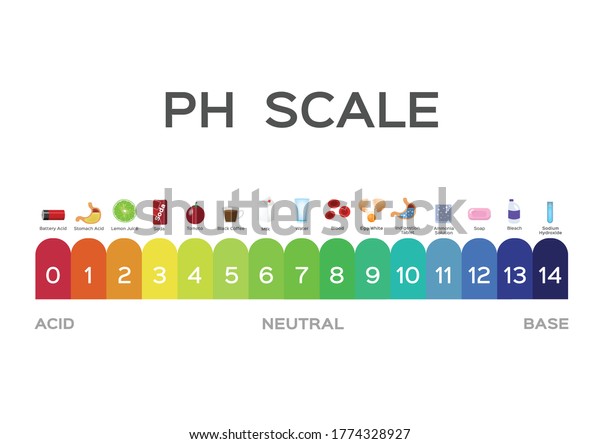 Ph Scale Vector Graphic Acid Base Stock Vector (Royalty Free) 1774328927