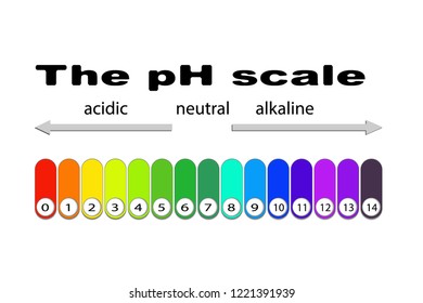 Ph Scale Vector Illustration Stock Vector (Royalty Free) 1220971429 ...