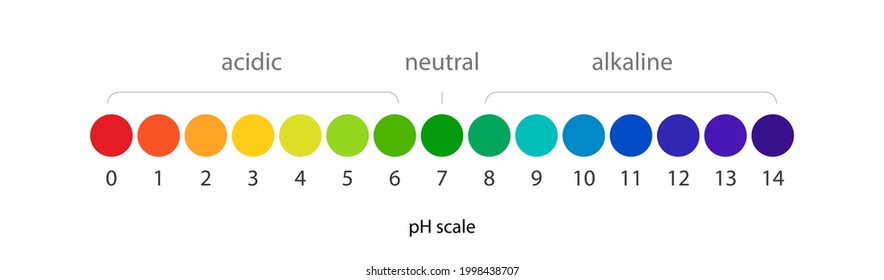 pH scale vector Infographic acid-base balance. Indicator diagram acidic alkaline measure isolated on white background illustration. 10 eps