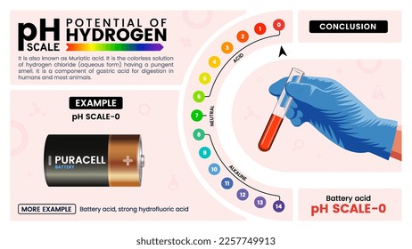 pH scale zero properties, calculation and examples - Vector illustration