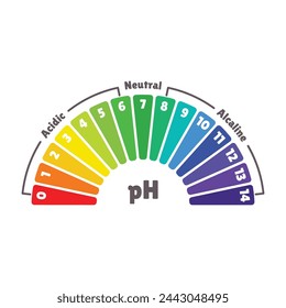 Escala de valores de pH para el equilibrio ácido y alcalino. Vector