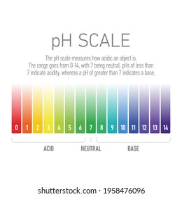 pH value scale from acid to base solutions, acid-base balance infographic 