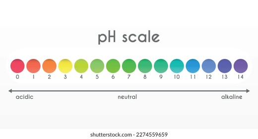 pH value scale. Acid-base balance. Universal indicator.Infographics. Vector illustration