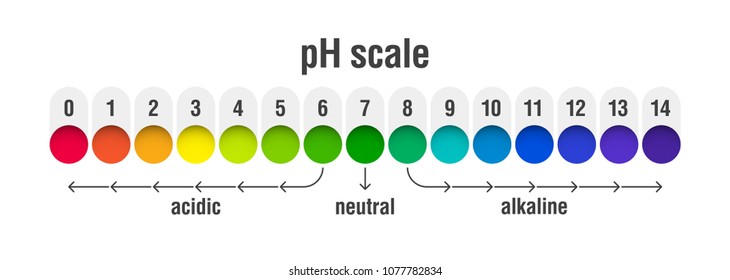 pH value scale chart for acid and alkaline solutions, acid-base balance infographic, vector illustration