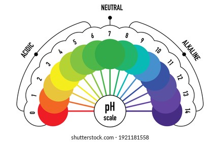 pH value scale chart for acid and alkaline solutions, acid-base balance infographic	