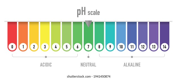 pH value scale chart for acid and alkaline solutions, acid-base balance infographic	