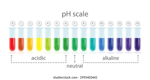 PH Value Scale Chart For Acid And Alkaline Solutions, Acid-base Balance Infographic