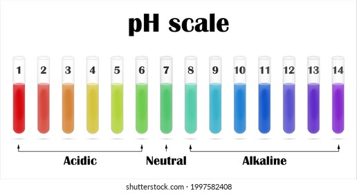 The pH value scale chart for acid and alkaline solutions in the test tubes. Ph Color Chart diagram.  Horizontal banner. Stock vector illustration.