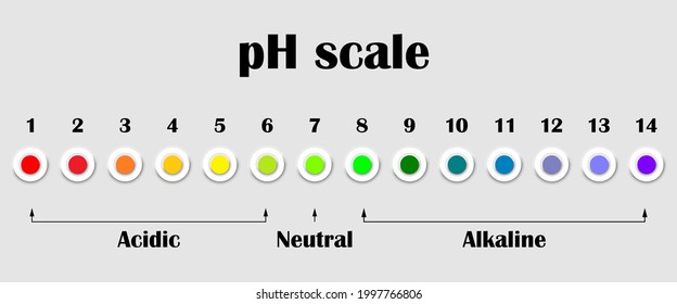 Hemoglobin A1c Test Score Health Concept Stock Vector Royalty Free 1566967444 Shutterstock 9272