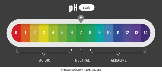 pH value scale chart for acid and alkaline solutions, acid-base balance infographic	