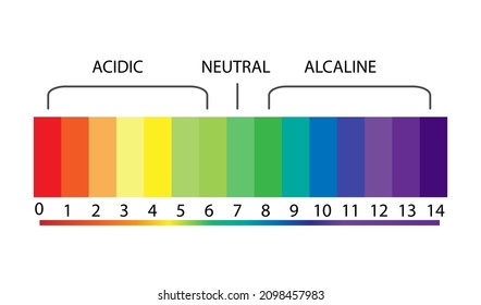PH value scale chart for acid and alkaline solutions, acid-base balance infographic. Vector.